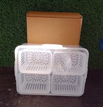 Fridge Storage Box – Freezer & Kitchen Organizer for Vegetables & Food (1 Pc)